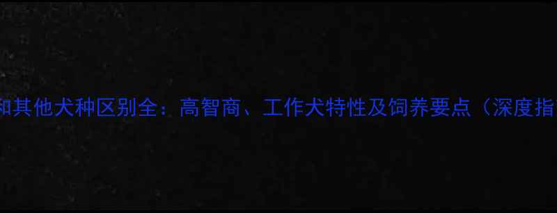 图片 边牧和其他犬种区别全：高智商、工作犬特性及饲养要点（深度指南）1