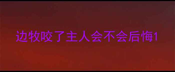 图片 边牧咬了主人会不会后悔1