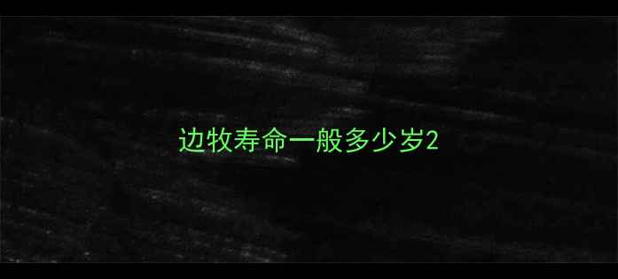 图片 边牧寿命一般多少岁2