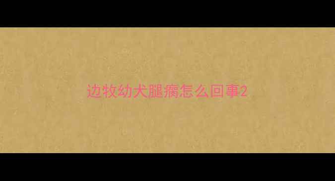 图片 边牧幼犬腿瘸怎么回事2
