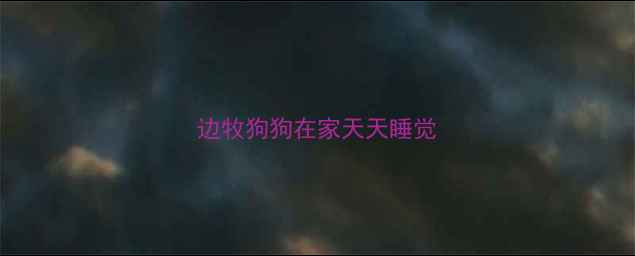 图片 边牧狗狗在家天天睡觉