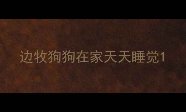 图片 边牧狗狗在家天天睡觉1