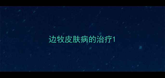 图片 边牧皮肤病的治疗1