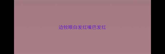 图片 边牧眼白发红嘴巴发红