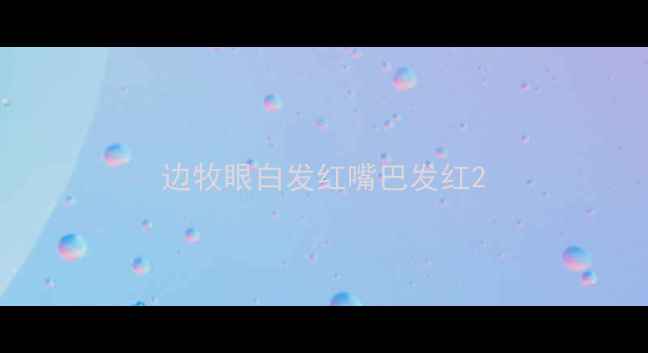 图片 边牧眼白发红嘴巴发红2