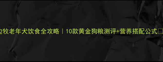 图片 边牧老年犬饮食全攻略｜10款黄金狗粮测评+营养搭配公式🐾1