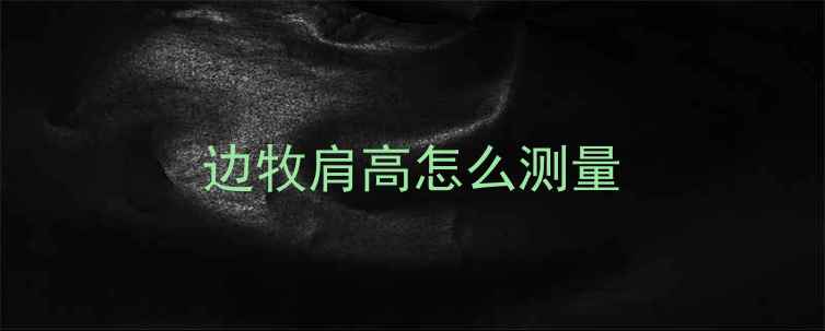 图片 边牧肩高怎么测量
