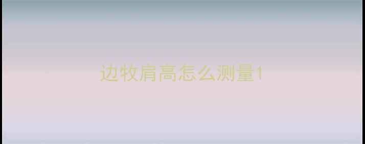 图片 边牧肩高怎么测量1