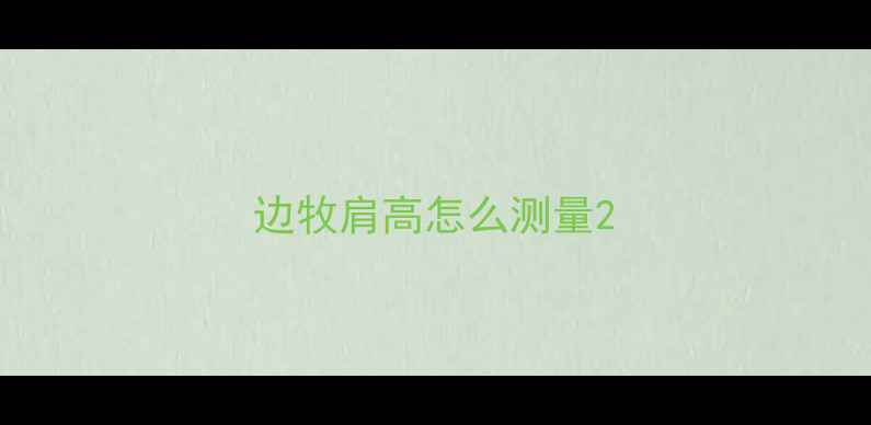 图片 边牧肩高怎么测量2