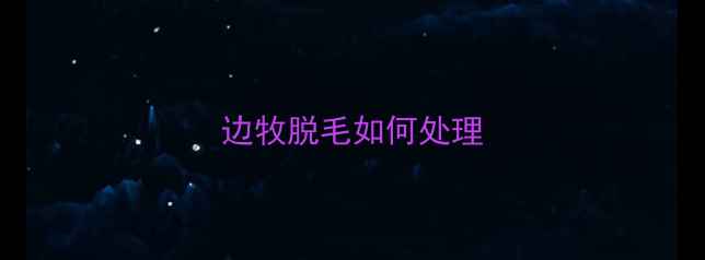 图片 边牧脱毛如何处理
