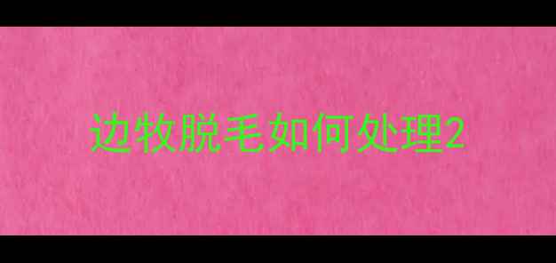 图片 边牧脱毛如何处理2