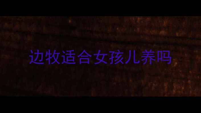 图片 边牧适合女孩儿养吗