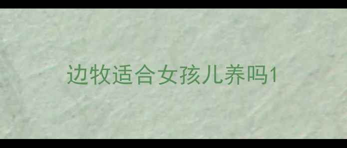 图片 边牧适合女孩儿养吗1
