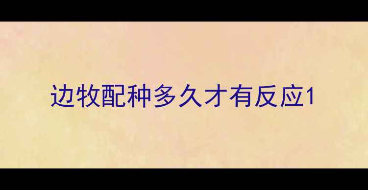 图片 边牧配种多久才有反应1