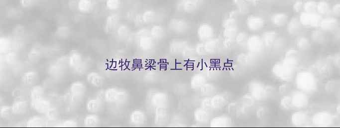 图片 边牧鼻梁骨上有小黑点