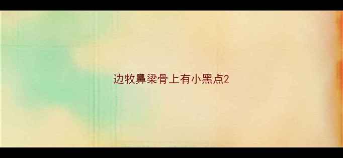 图片 边牧鼻梁骨上有小黑点2