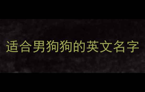 图片 适合男狗狗的英文名字