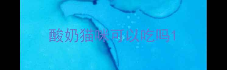 图片 酸奶猫咪可以吃吗1