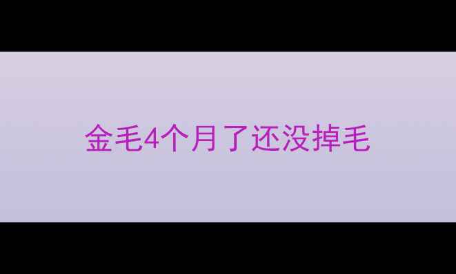 图片 金毛4个月了还没掉毛