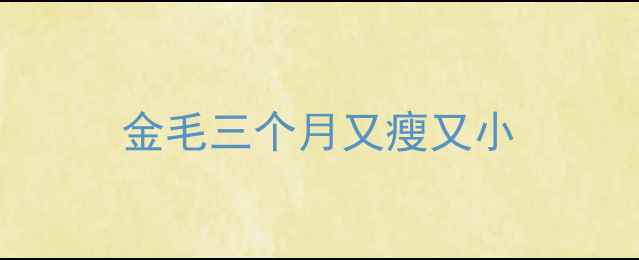 图片 金毛三个月又瘦又小