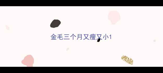 图片 金毛三个月又瘦又小1