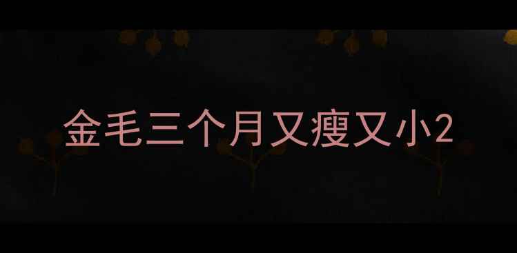 图片 金毛三个月又瘦又小2