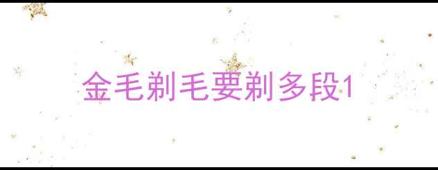 图片 金毛剃毛要剃多段1