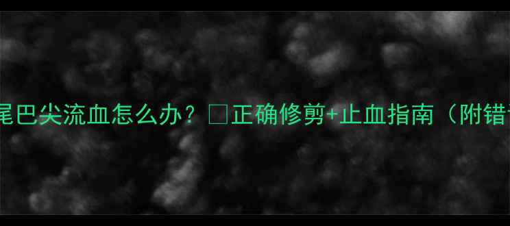 图片 金毛剪毛尾巴尖流血怎么办？🐾正确修剪+止血指南（附错误示范）1