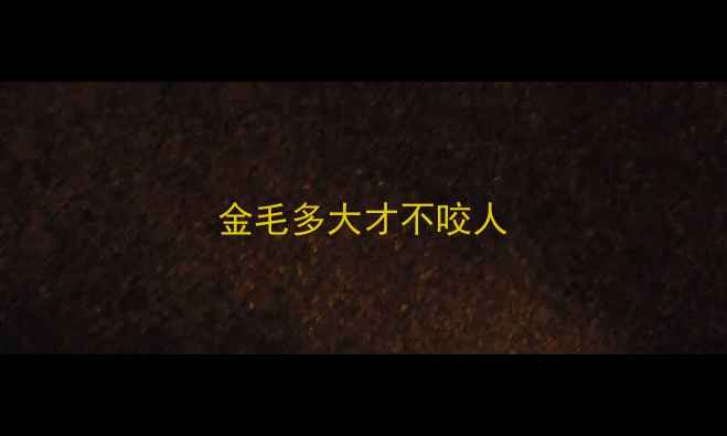 图片 金毛多大才不咬人
