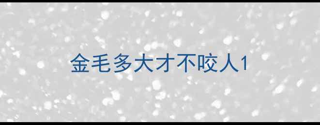 图片 金毛多大才不咬人1