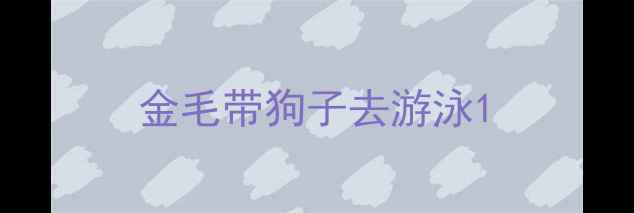 图片 金毛带狗子去游泳1