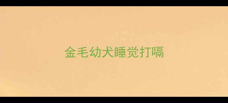 图片 金毛幼犬睡觉打嗝