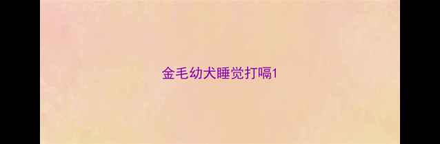 图片 金毛幼犬睡觉打嗝1
