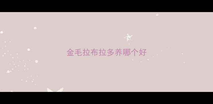 图片 金毛拉布拉多养哪个好