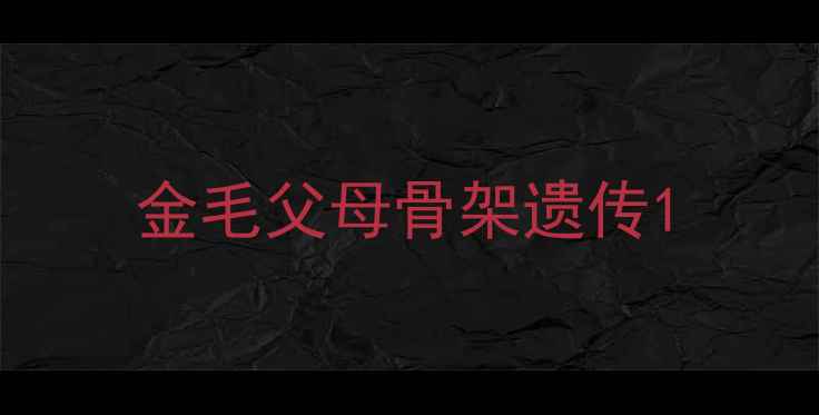 图片 金毛父母骨架遗传1