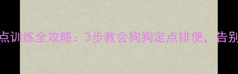 图片 金毛犬定点训练全攻略：3步教会狗狗定点排便，告别室内污染