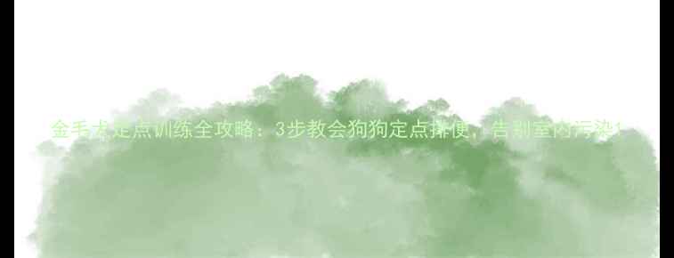 图片 金毛犬定点训练全攻略：3步教会狗狗定点排便，告别室内污染1