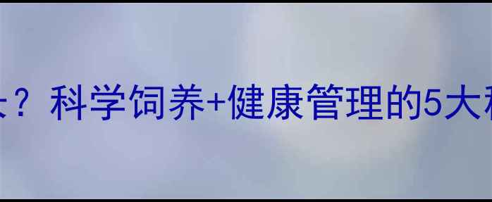 图片 金毛犬寿命有多长？科学饲养+健康管理的5大秘诀延长黄金十年