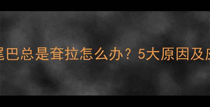 图片 金毛犬尾巴总是耷拉怎么办？5大原因及应对措施