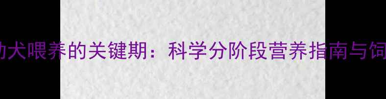 图片 金毛犬幼犬喂养的关键期：科学分阶段营养指南与饲养误区1