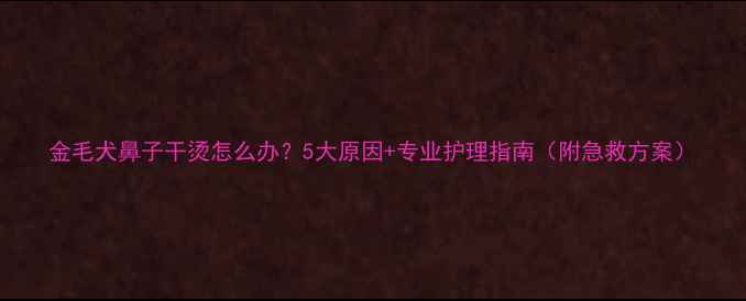 图片 金毛犬鼻子干烫怎么办？5大原因+专业护理指南（附急救方案）