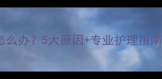 图片 金毛犬鼻子干烫怎么办？5大原因+专业护理指南（附急救方案）2