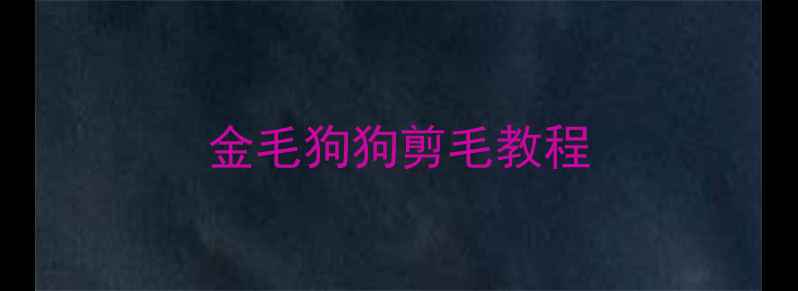 图片 金毛狗狗剪毛教程