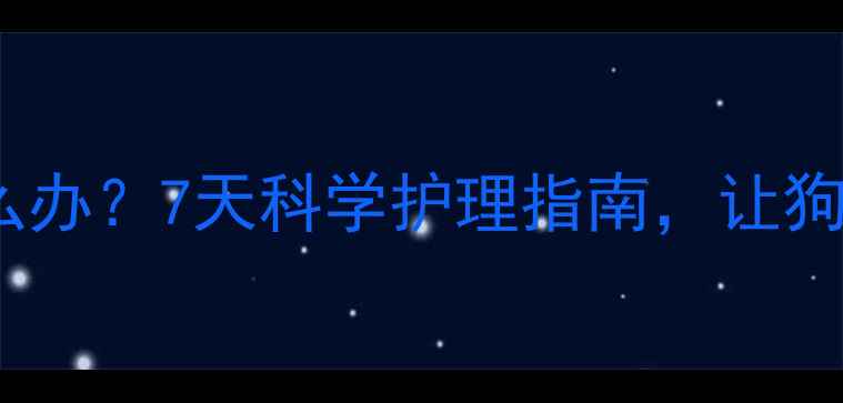 图片 金毛疫苗后拒食怎么办？7天科学护理指南，让狗狗顺利度过疫苗期1