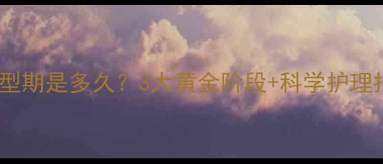图片 雪纳瑞公犬最佳定型期是多久？3大黄金阶段+科学护理指南（附对比图）1