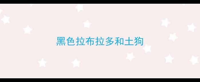 图片 黑色拉布拉多和土狗