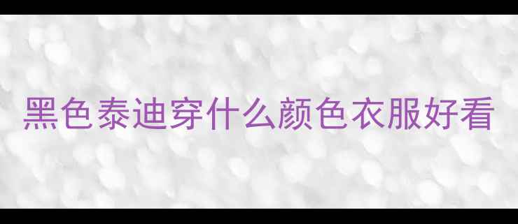 图片 黑色泰迪穿什么颜色衣服好看