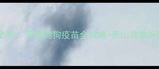图片 🏥萧山养狗必看！最新狗狗疫苗全攻略+萧山宠物医院推荐清单2