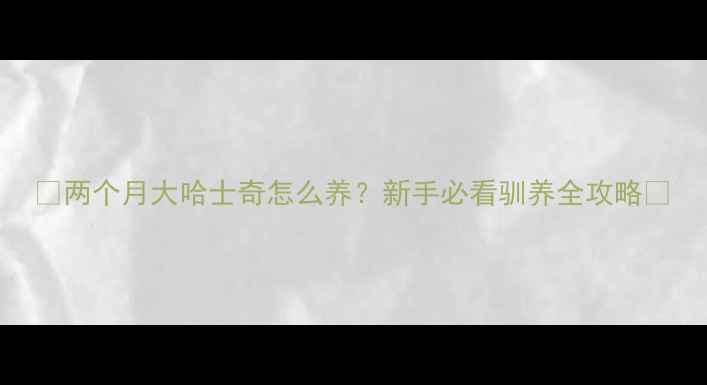 图片 🐕两个月大哈士奇怎么养？新手必看驯养全攻略🔥