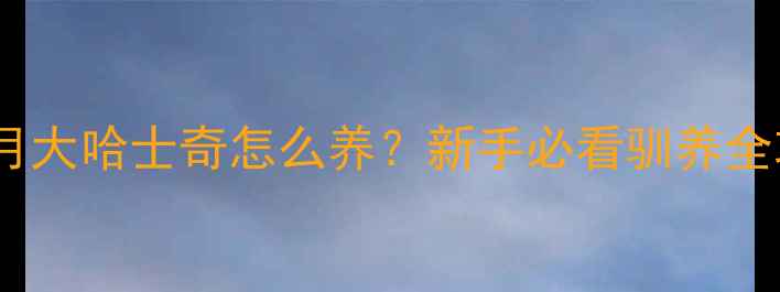 图片 🐕两个月大哈士奇怎么养？新手必看驯养全攻略🔥1